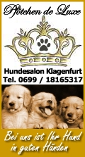 Hundesalon Kärnten - Hundepflege Klagenfurt - Pfötchen de Luxe - Michaela Eberdorfer - Hundestudio Österreich